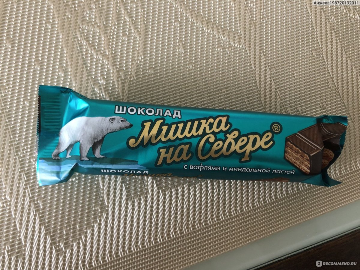 Мишка с севера