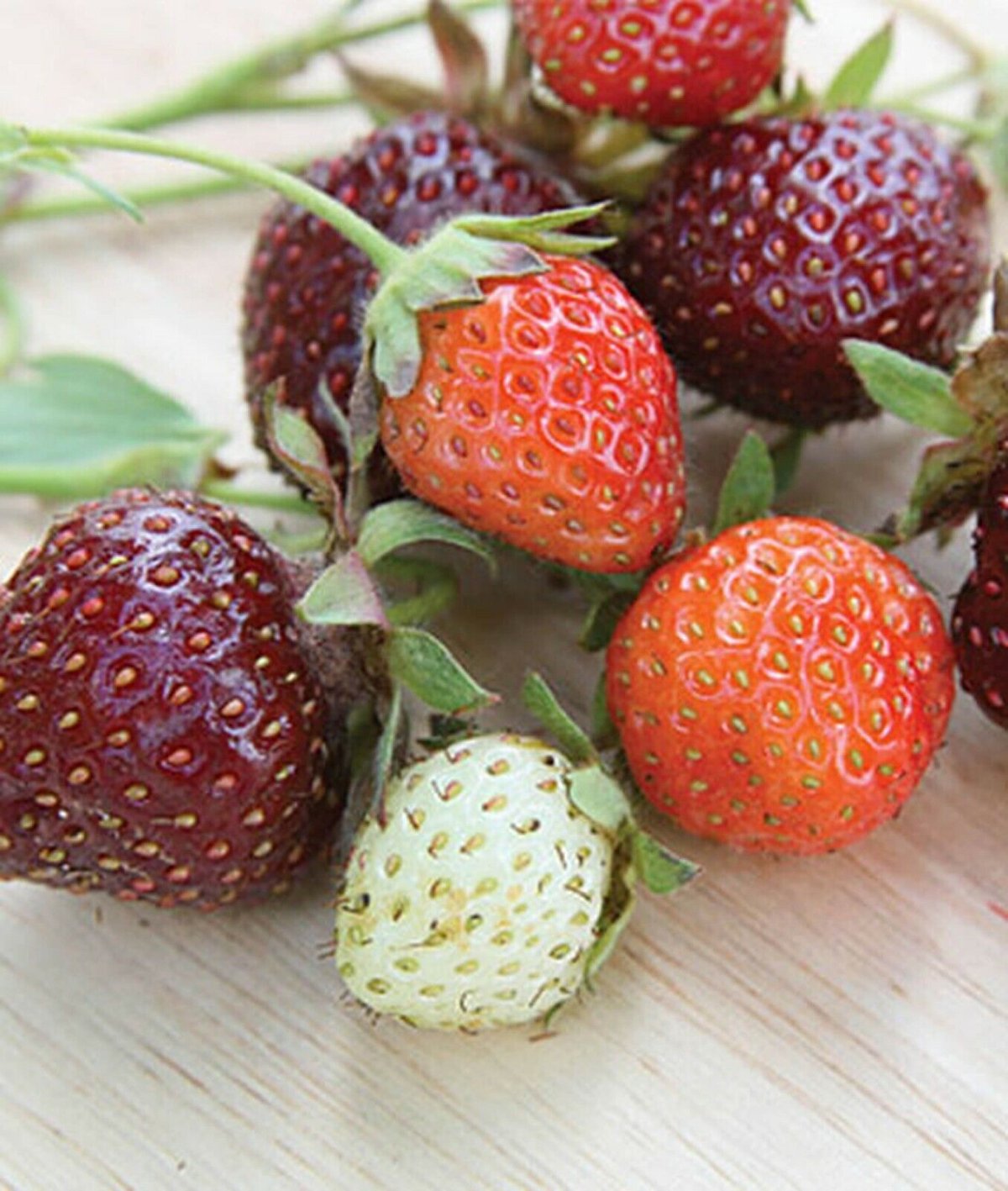Клубника Extra Berry