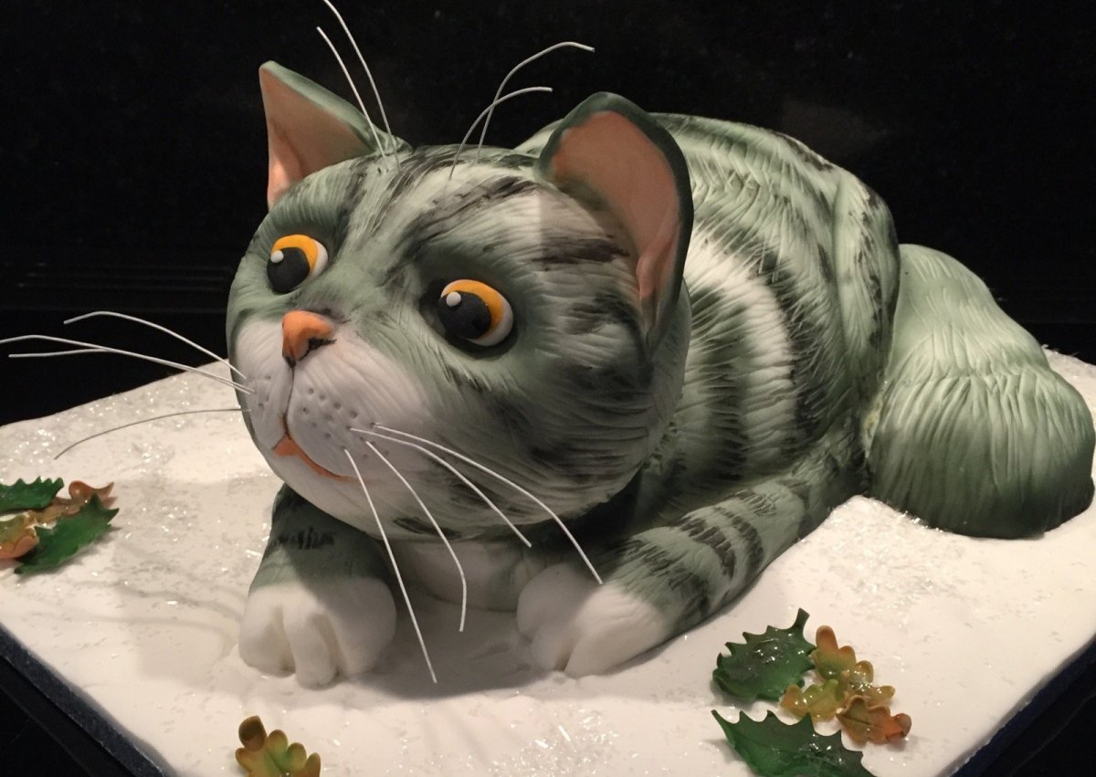Торт с котом