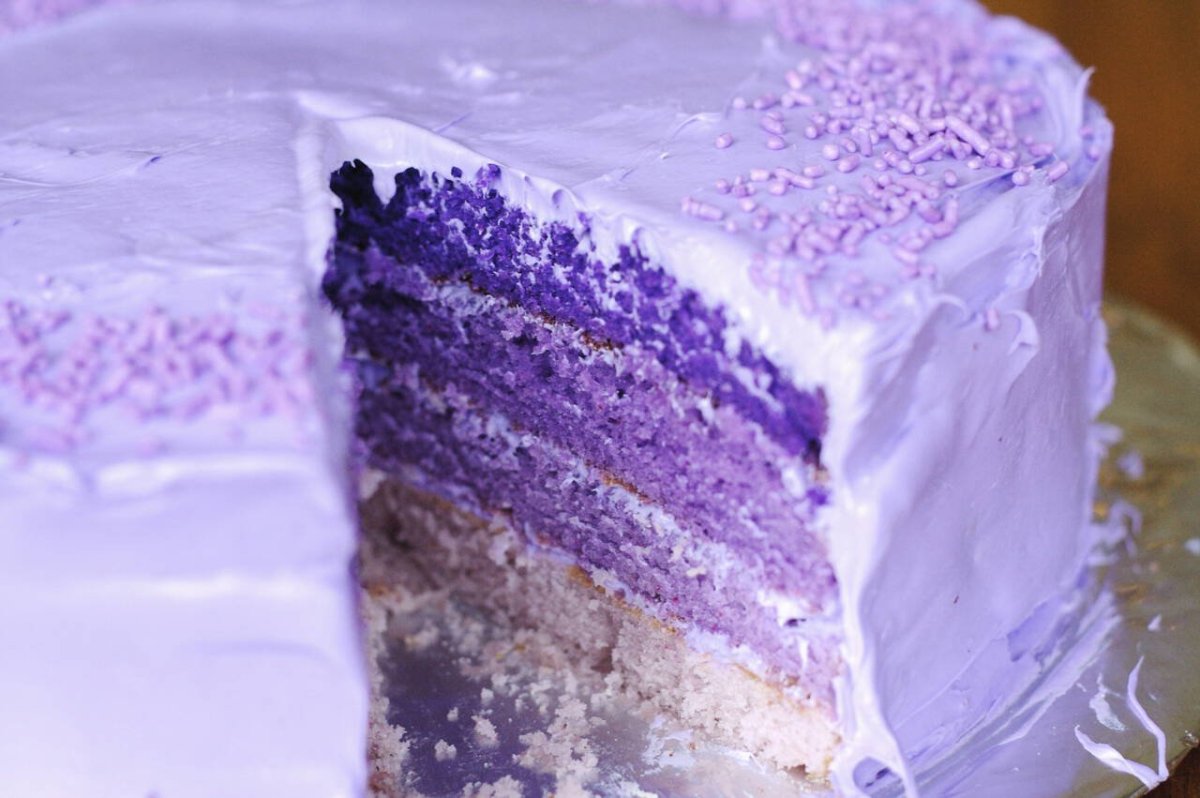 Blueberry Mousse Cake