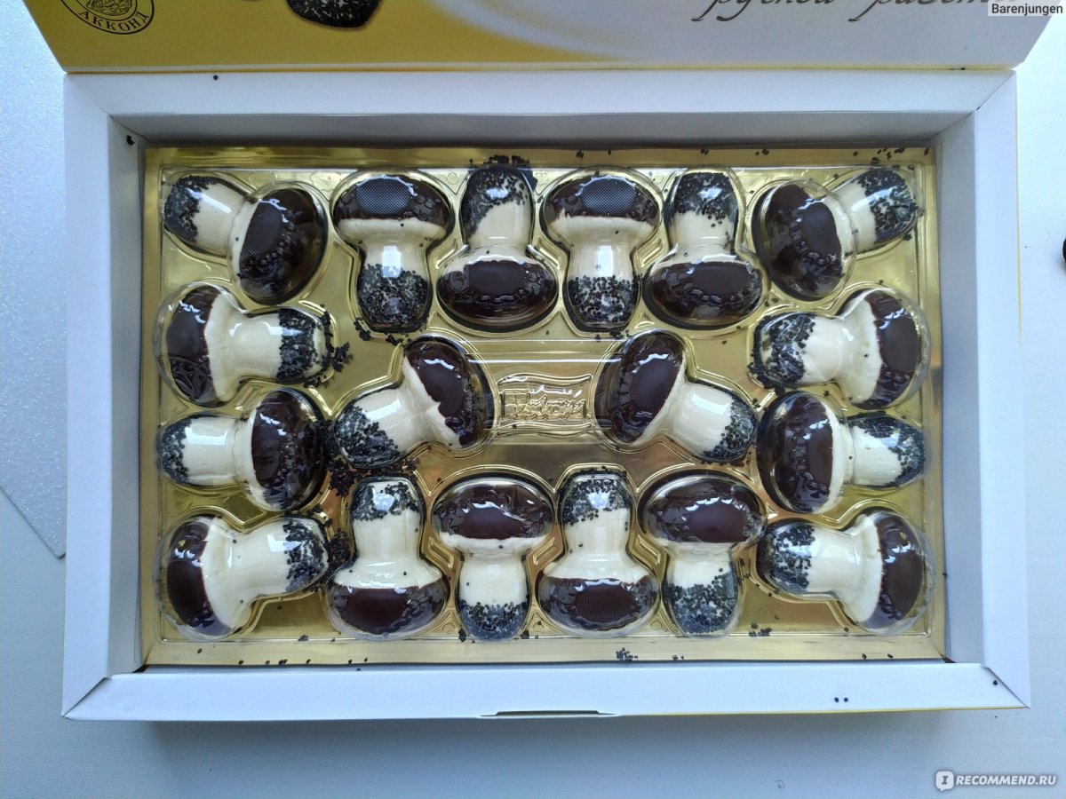 Акконд грибы