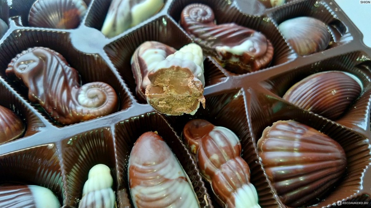 Бельгийский шоколад Seashells