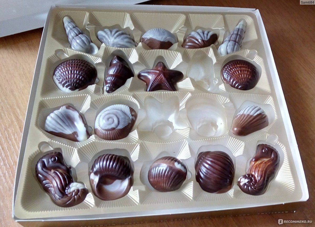 Шоколадные конфеты в виде ракушек