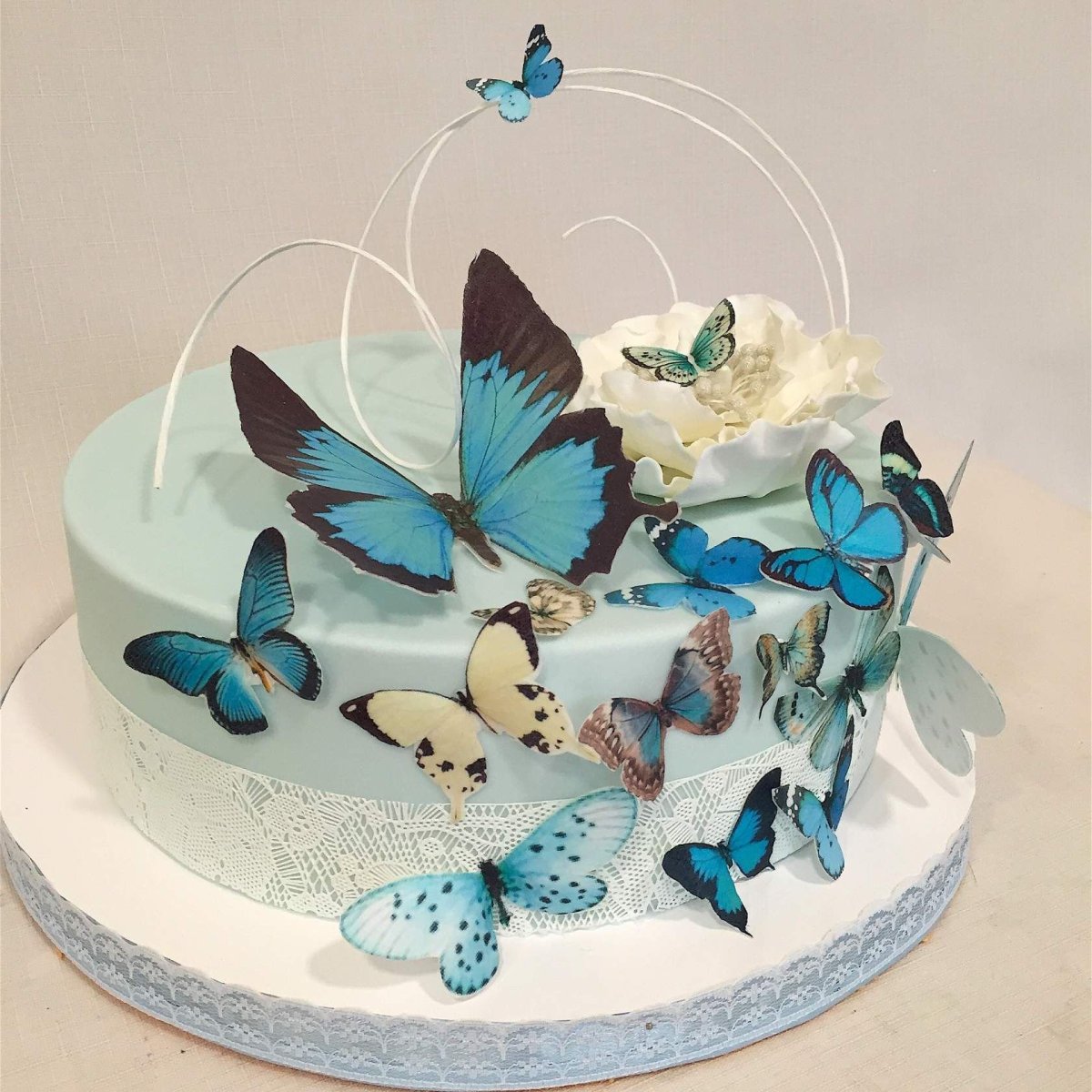 Cake Decorating things рисунок