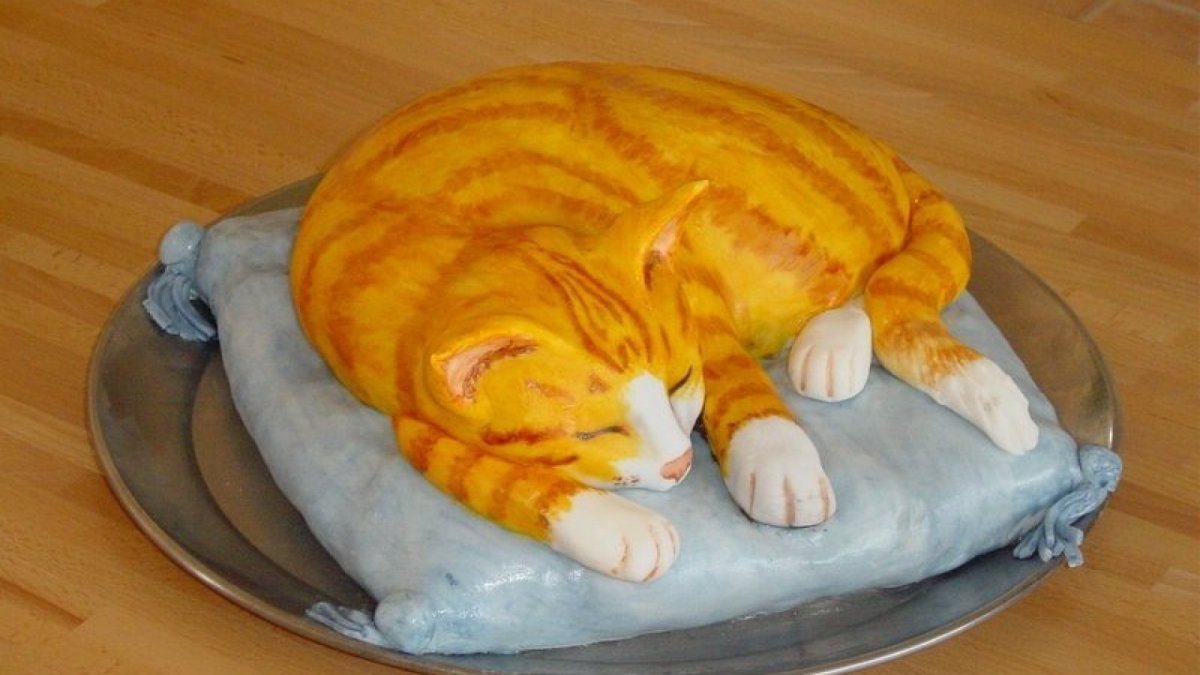 Лучший торт для кошатника