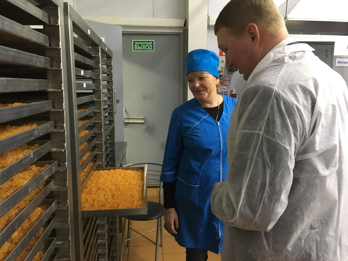 Фабрика АТАГ Шексна