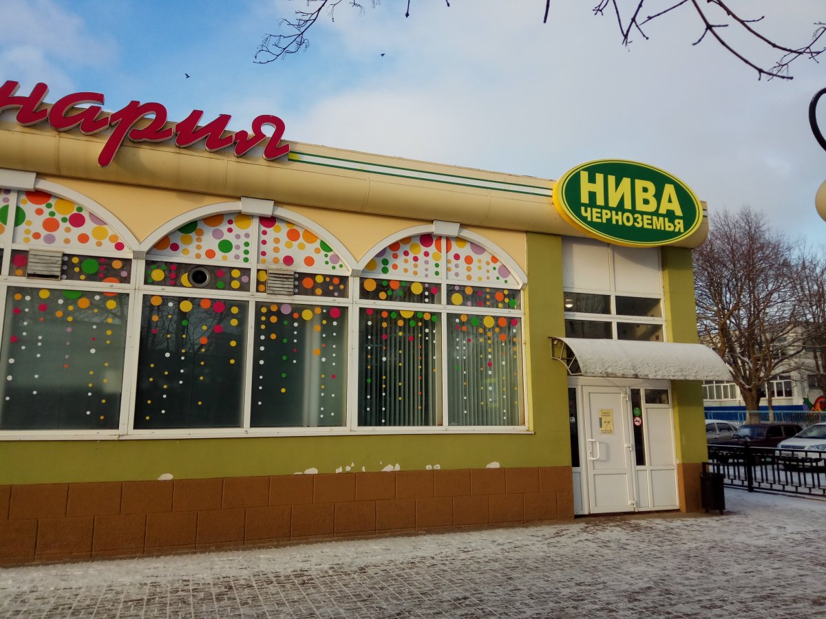 Торт Райский сад от Палыча