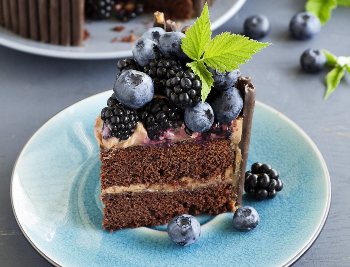 Blueberry Mousse Cake