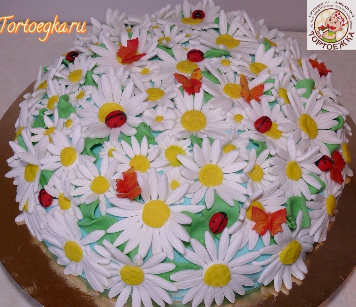 Красивый торт с ромашками