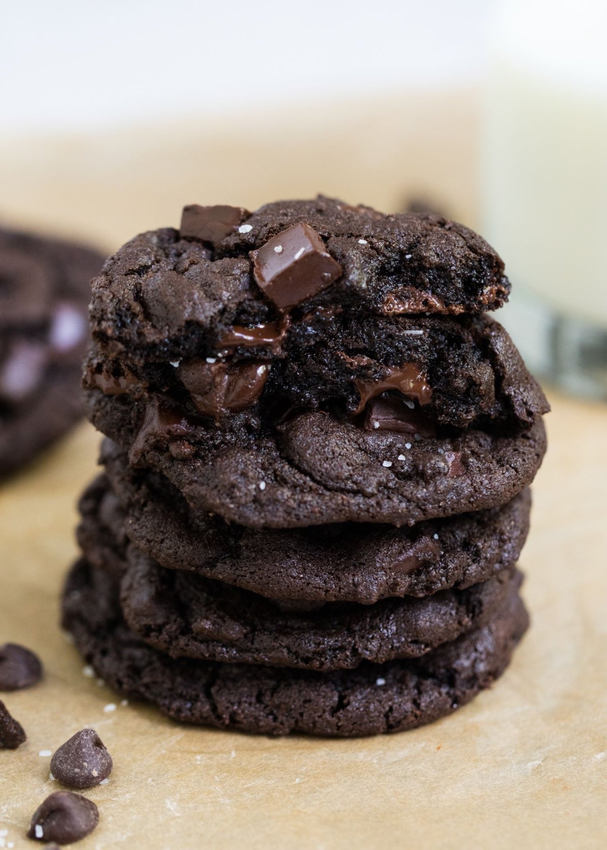 Chocolate Chip Brownie