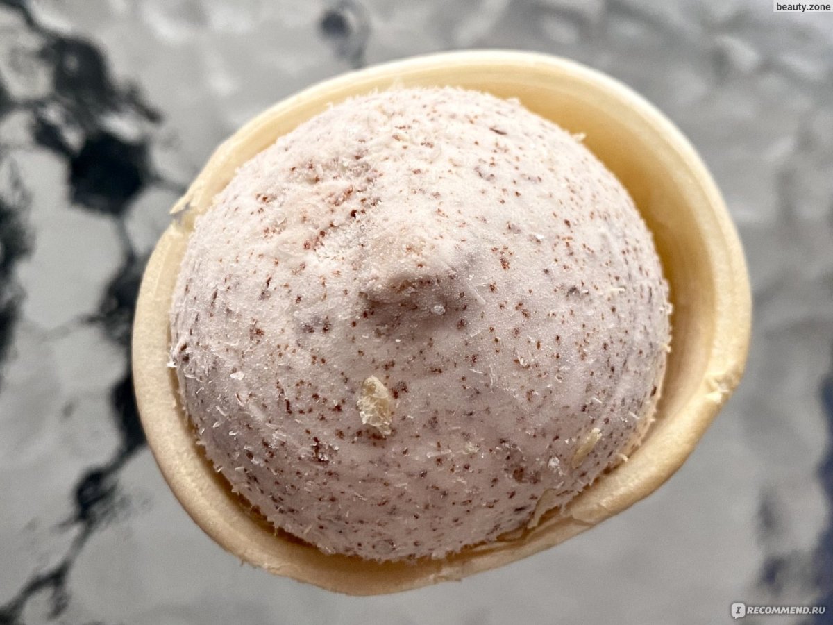 Mint Chocolate Chip Ice Cream
