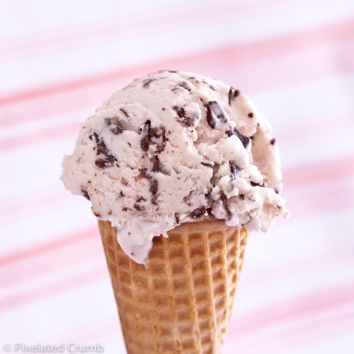 Chocolate Chip Ice Cream