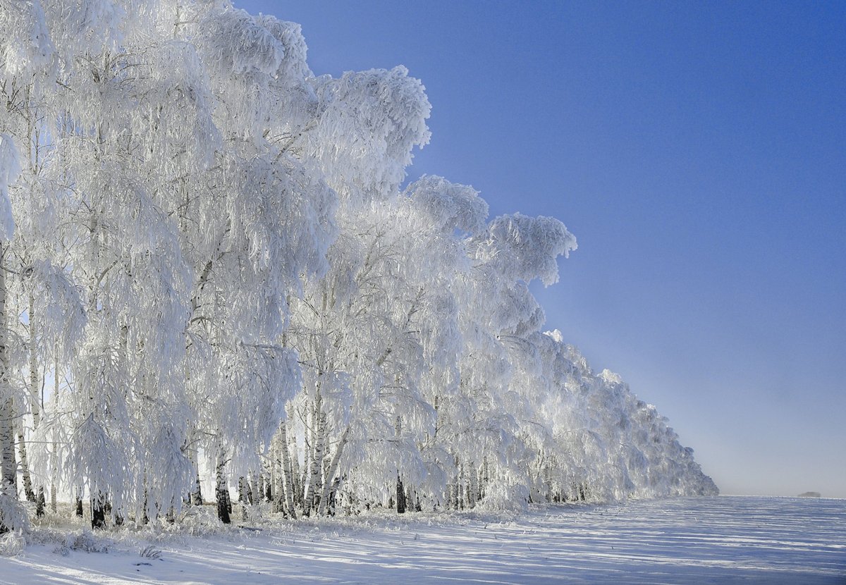 Красивая Снежная зима