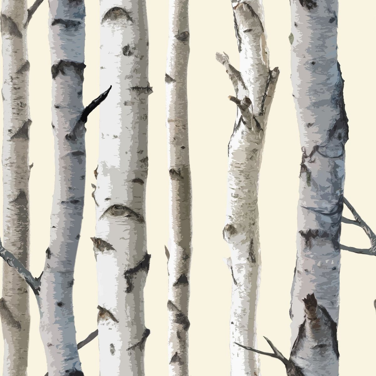 White Birch (белая береза)