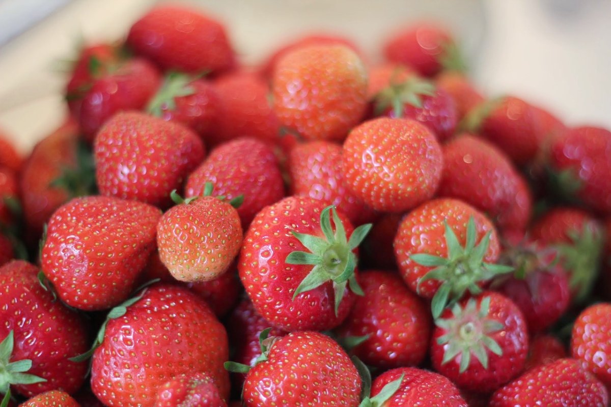 Клубника свежая Wildberries