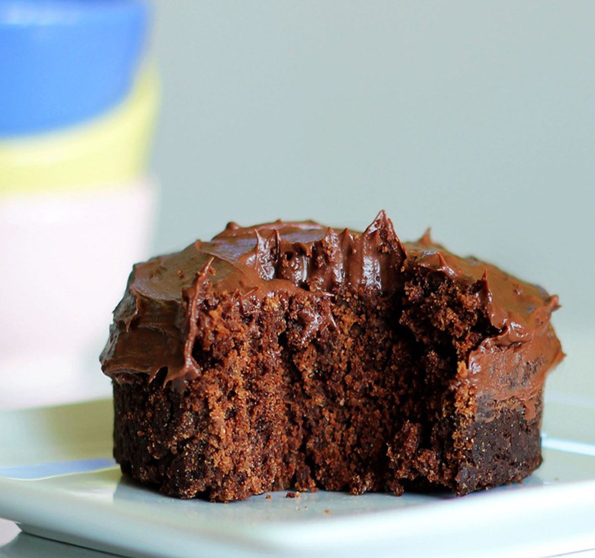 Chocolate covered Bugs
