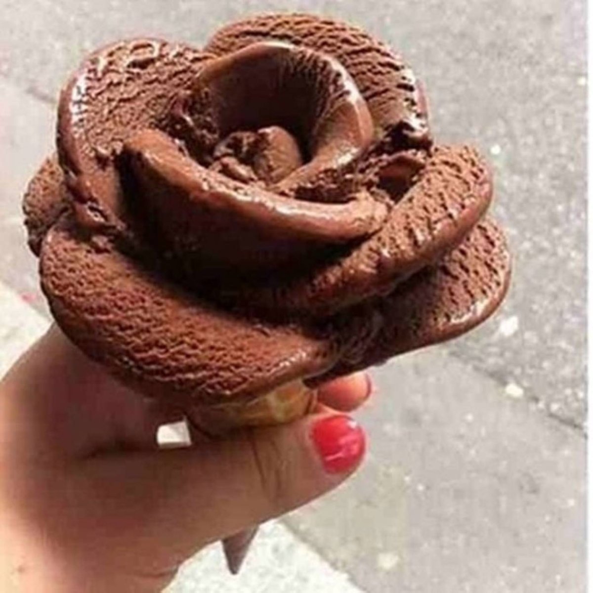 Шоколадные розочки