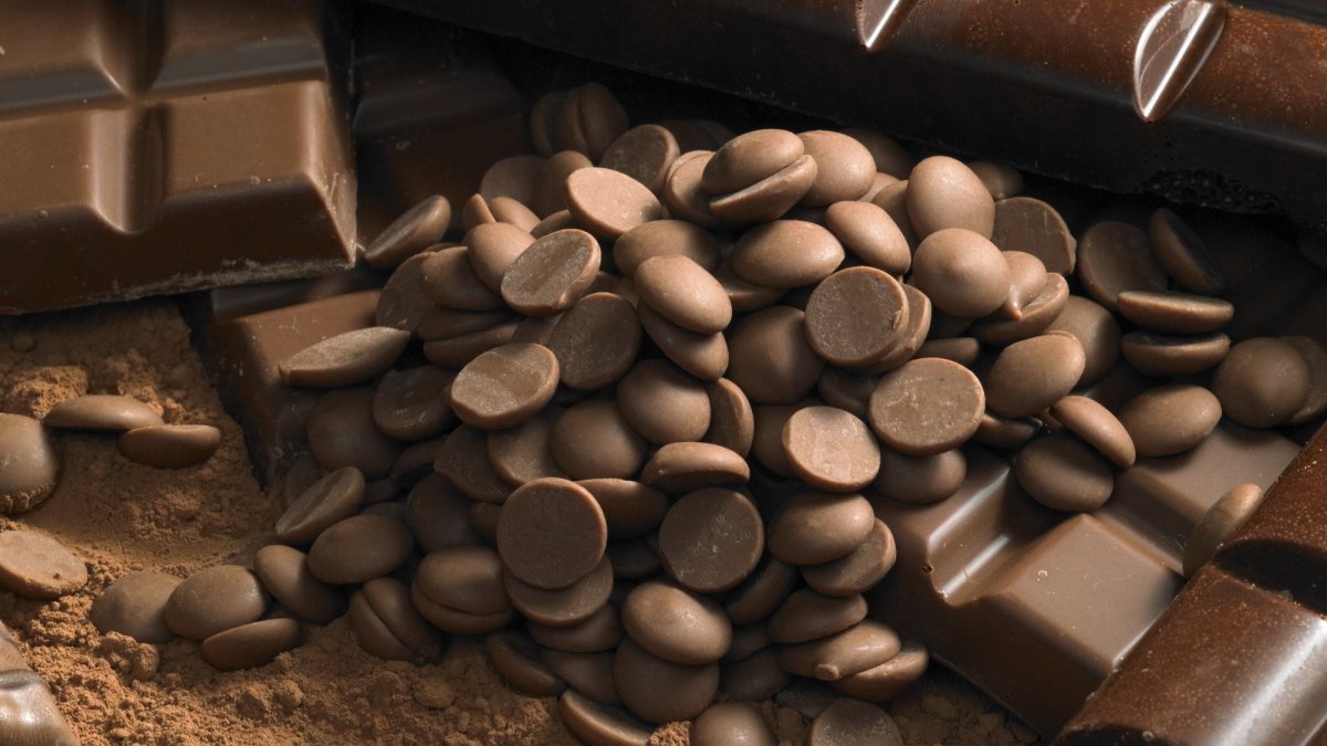 Шоколад Zephyr Callebaut