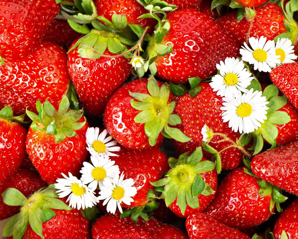 He always busy Vegetables Strawberry