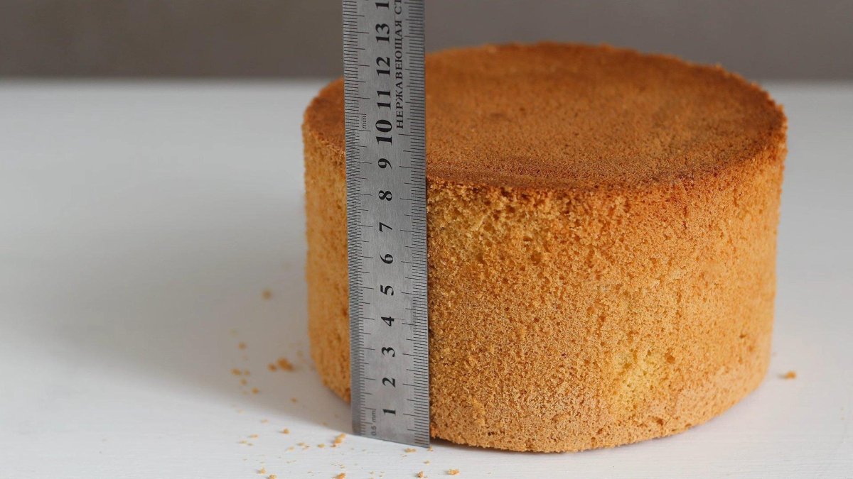 Бисквит Sponge Cake