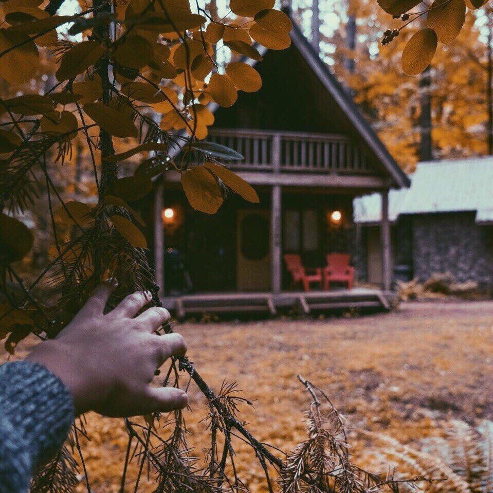 Осень Эстетика