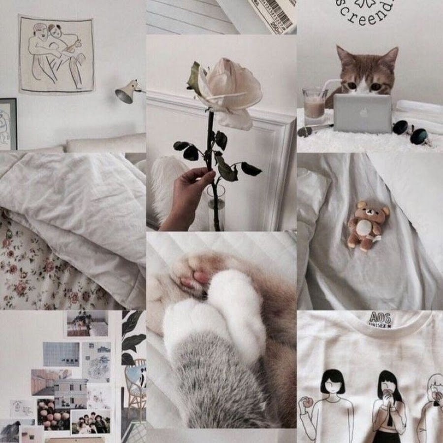 Эстетика кошек коллаж