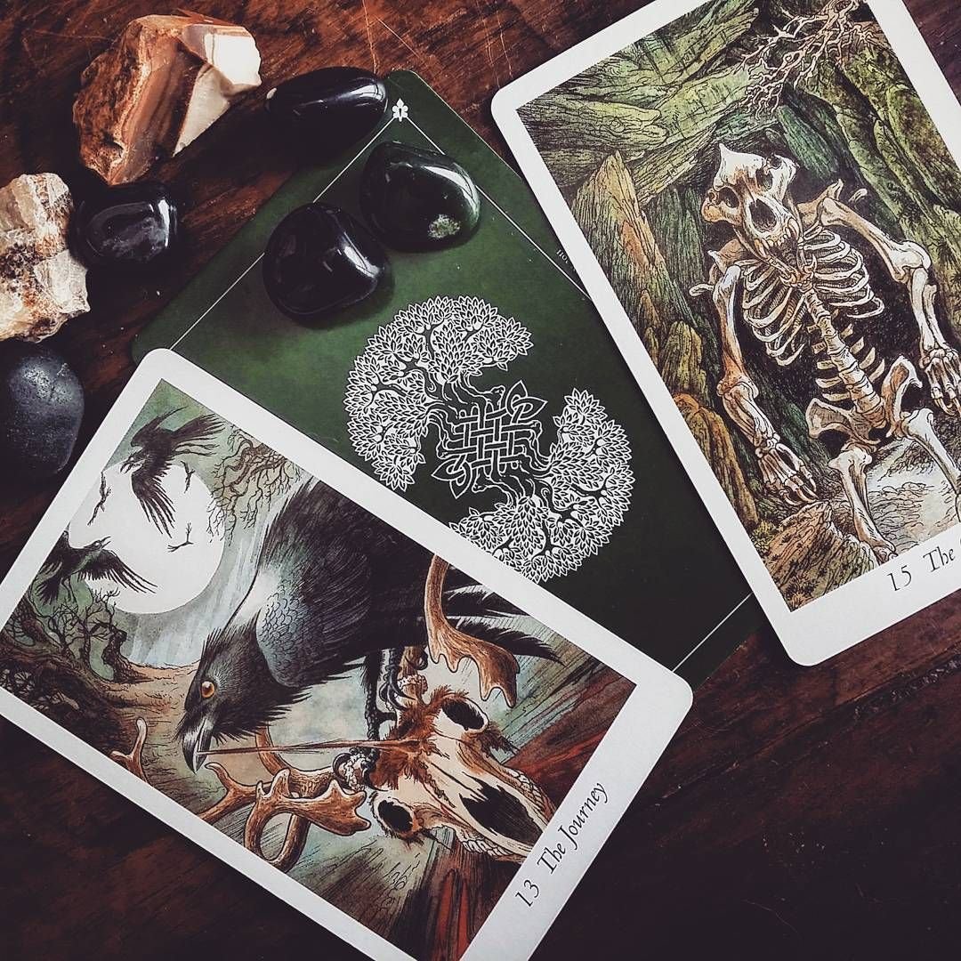 The Wildwood Tarot. Таро дикого леса галерея