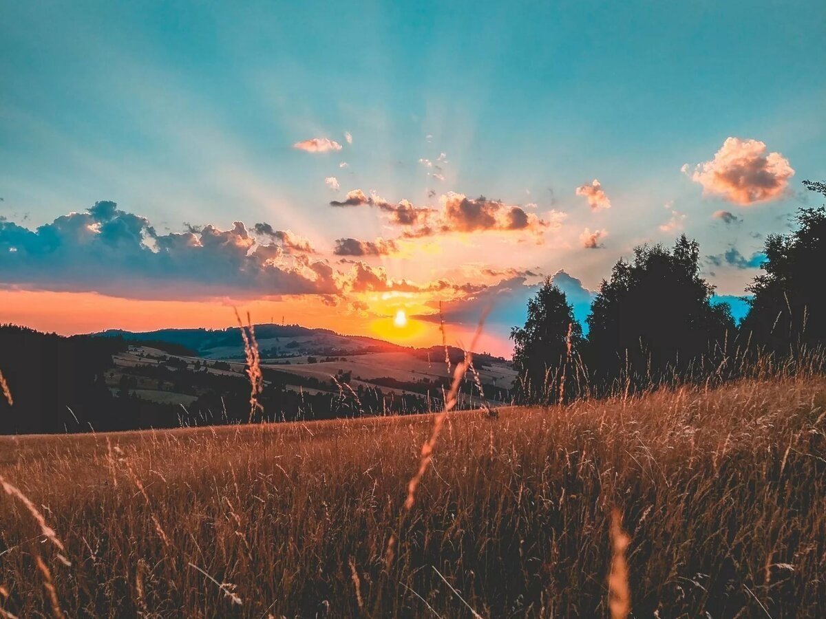 Летний закат Эстетика