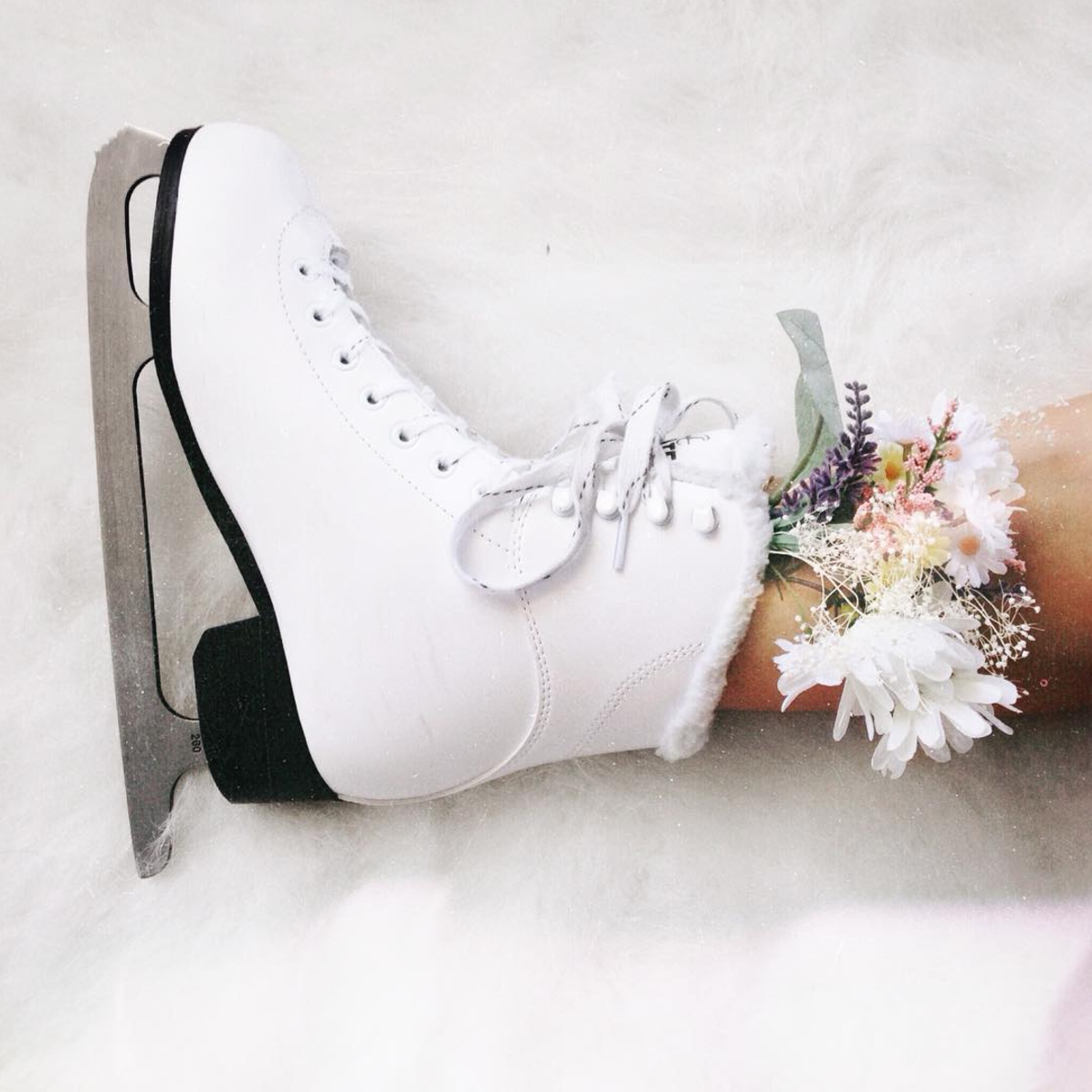 Коньки aesthetic