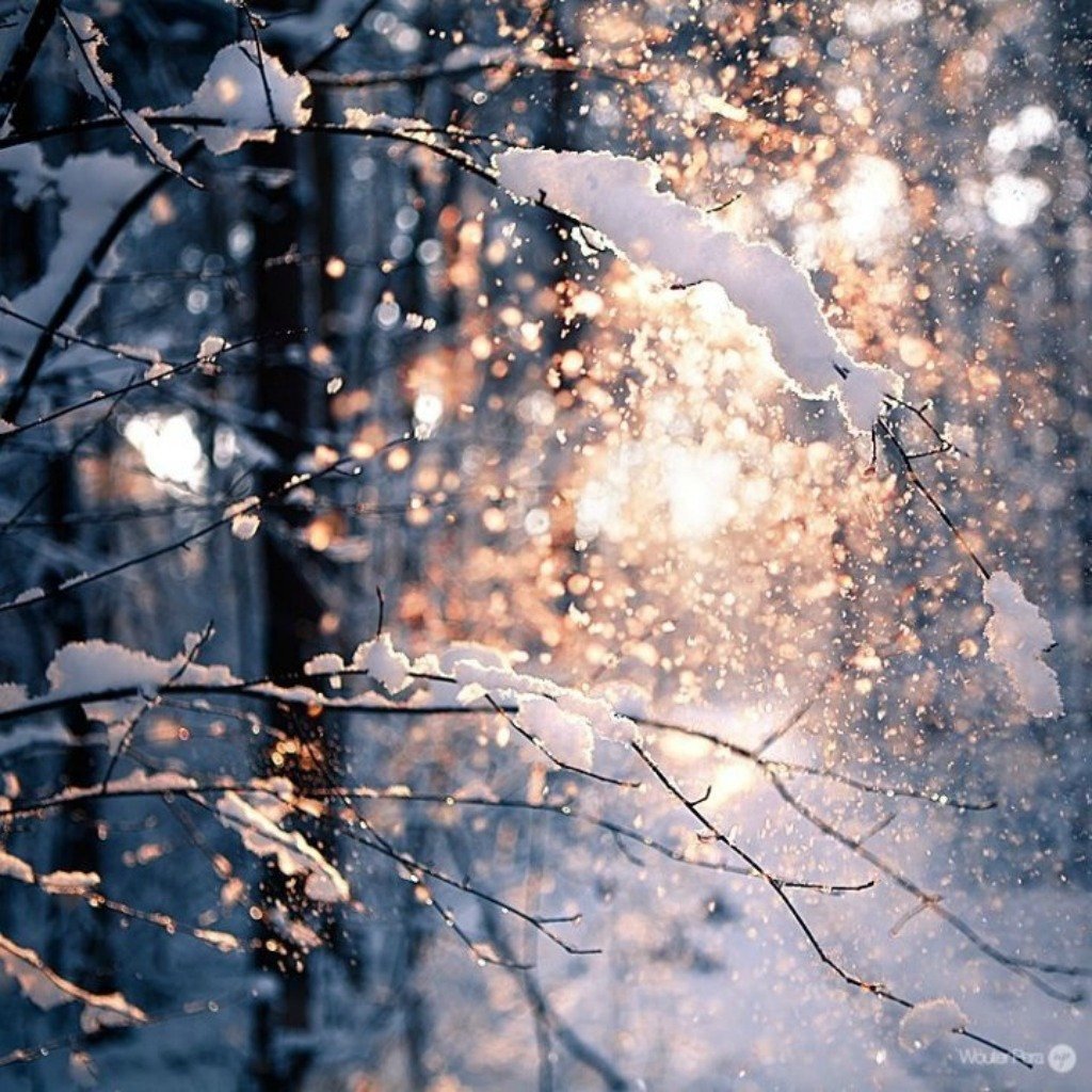 Падающий снег