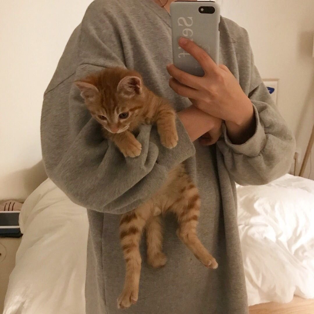 Котики Эстетика бежевый