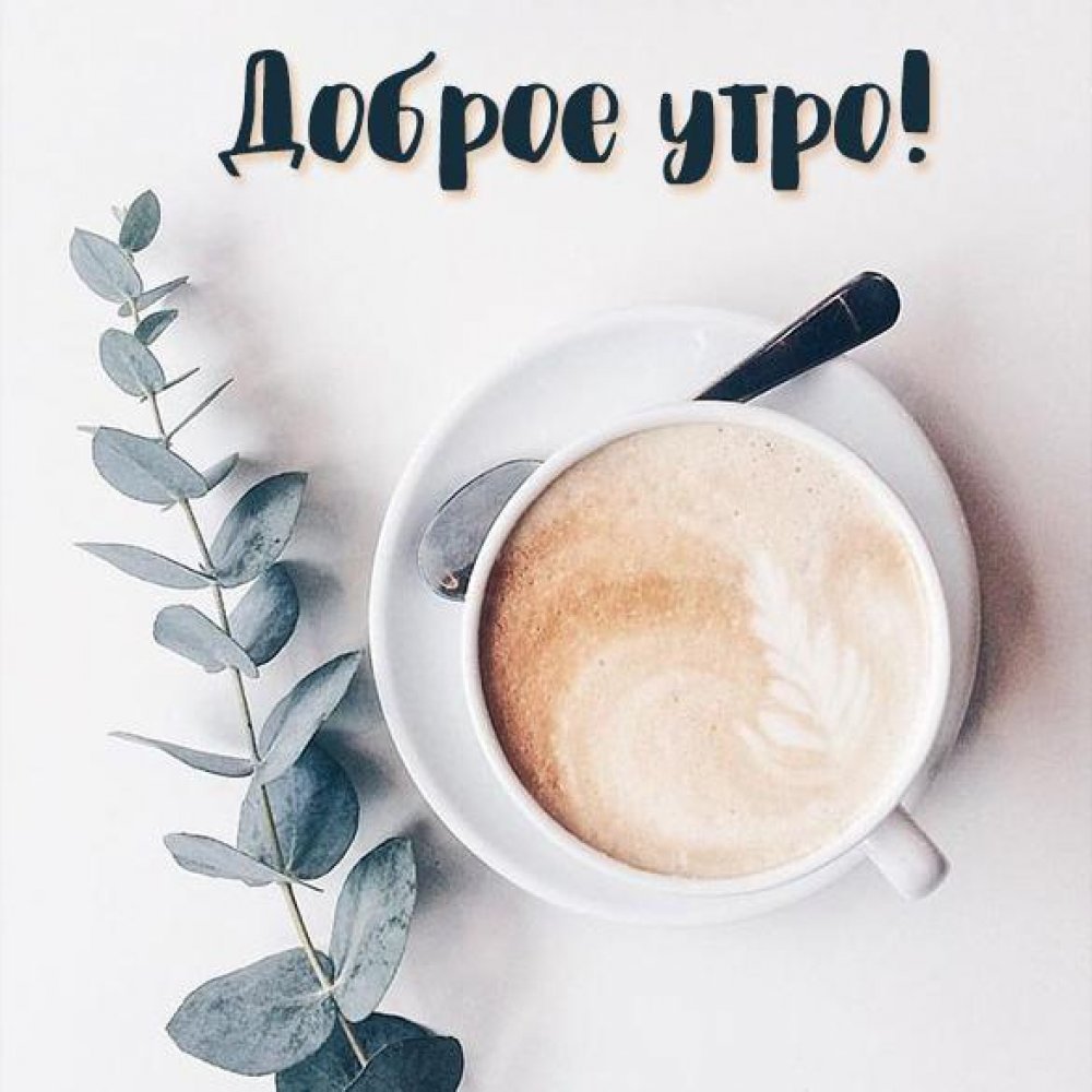 Чаепитие Эстетика