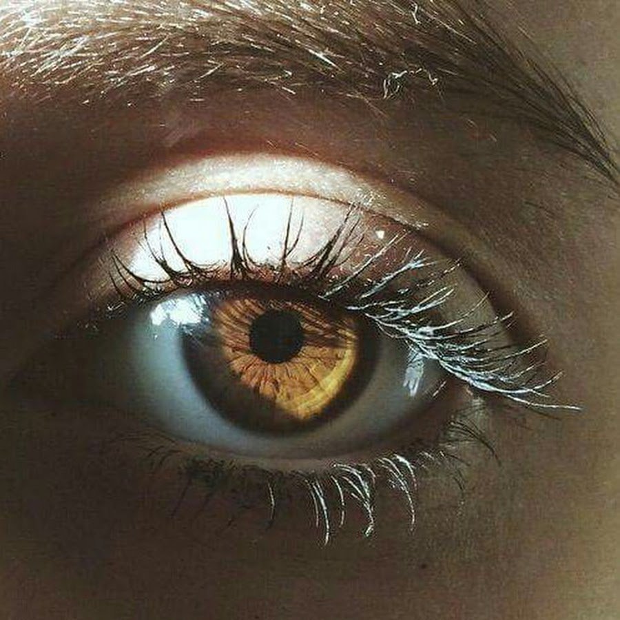фанфик янтарные глаза фото 106