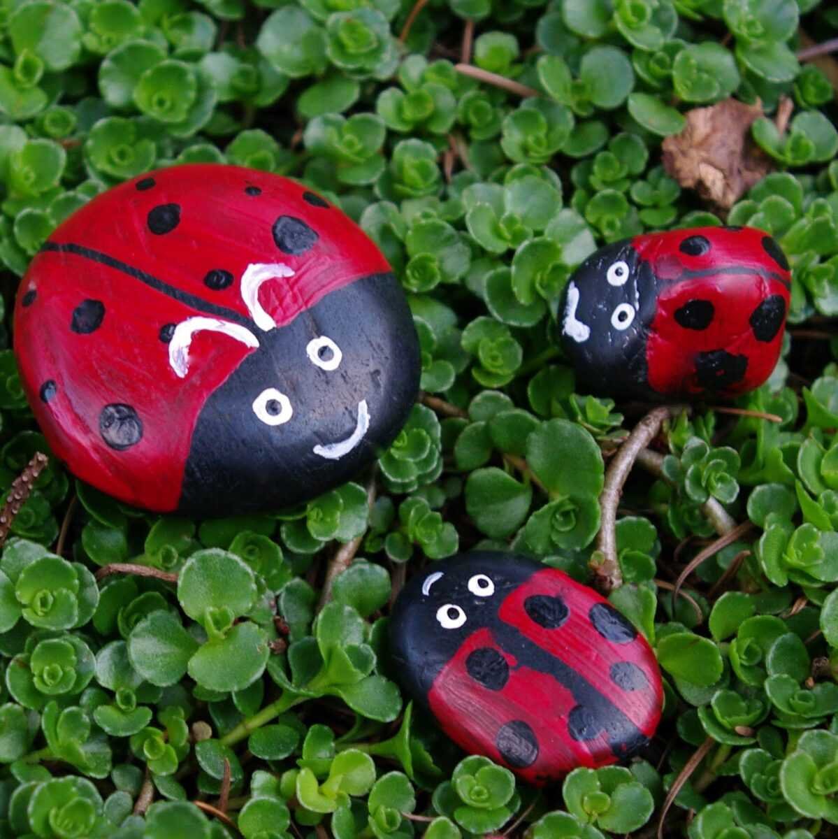 Божья коровка из камня для сада