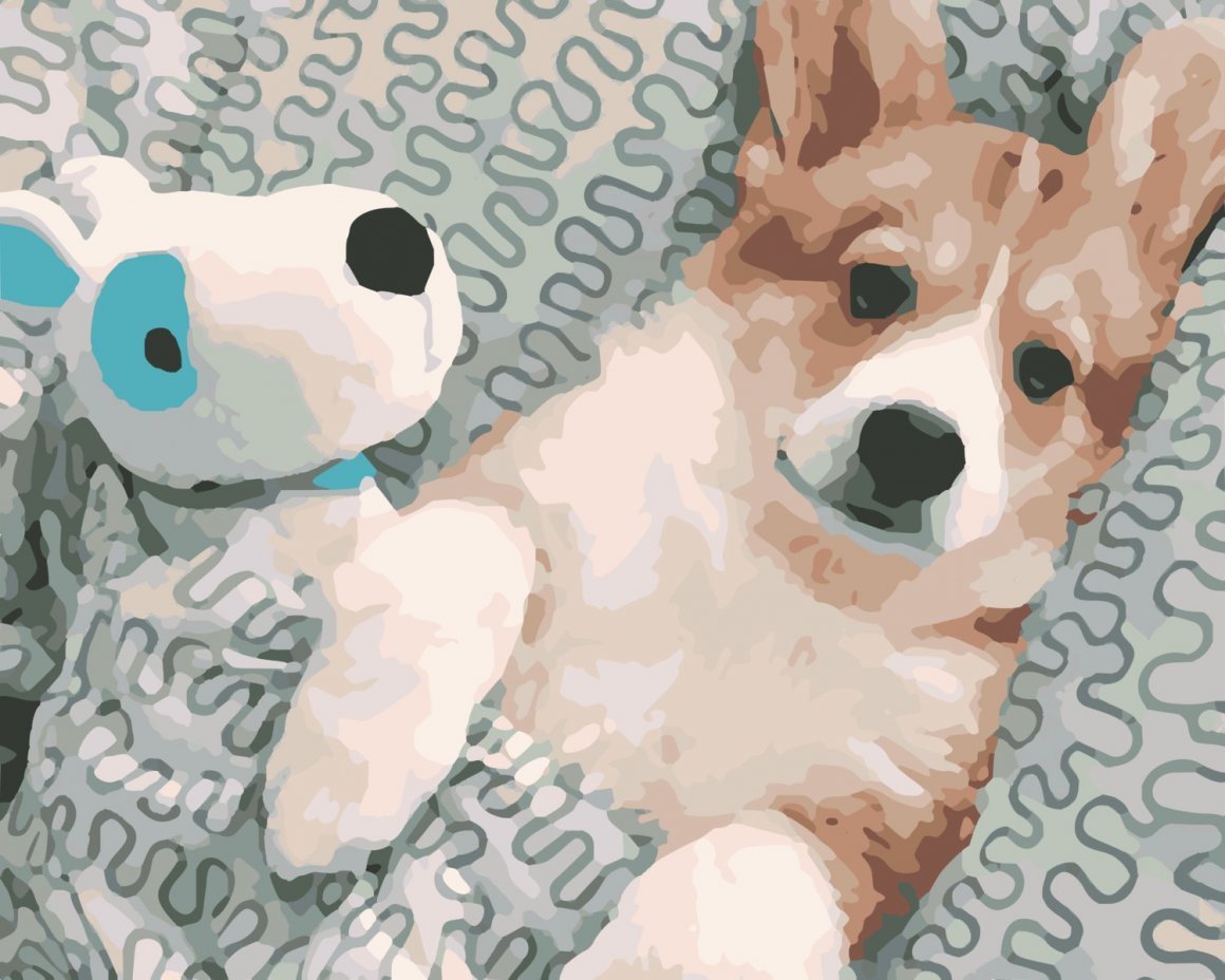 Корги фон