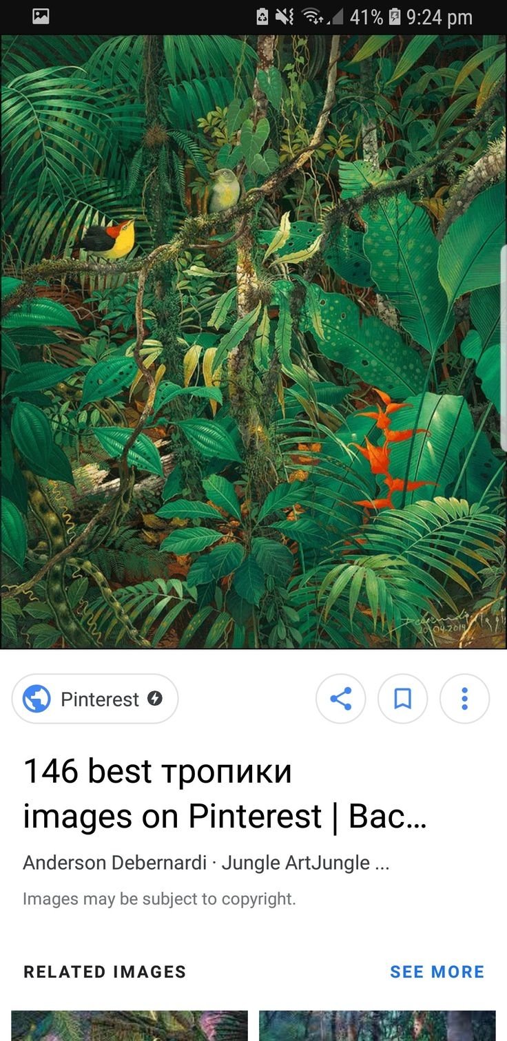 Тропик Джангл