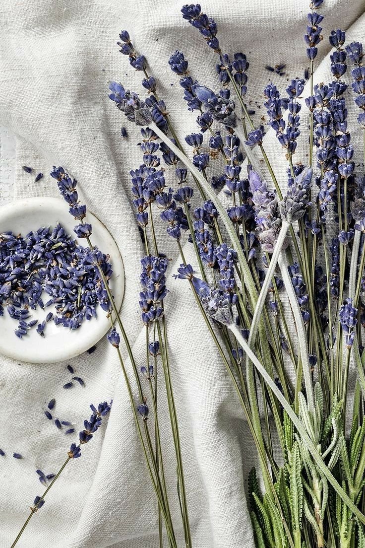 Лаванда Lavender aesthetic