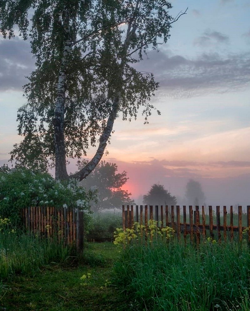 Природа деревня