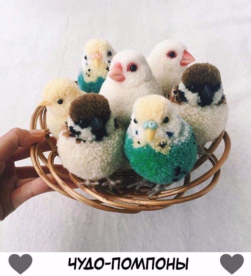 Игрушка цыпленок из помпонов