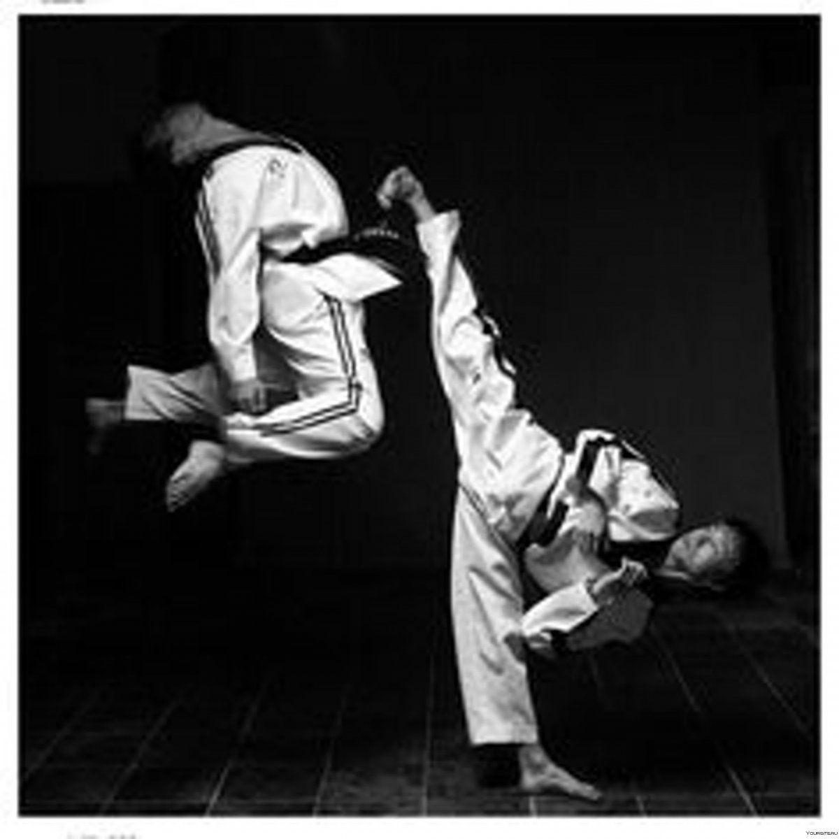 Каратэ киокушинкай Эстетика