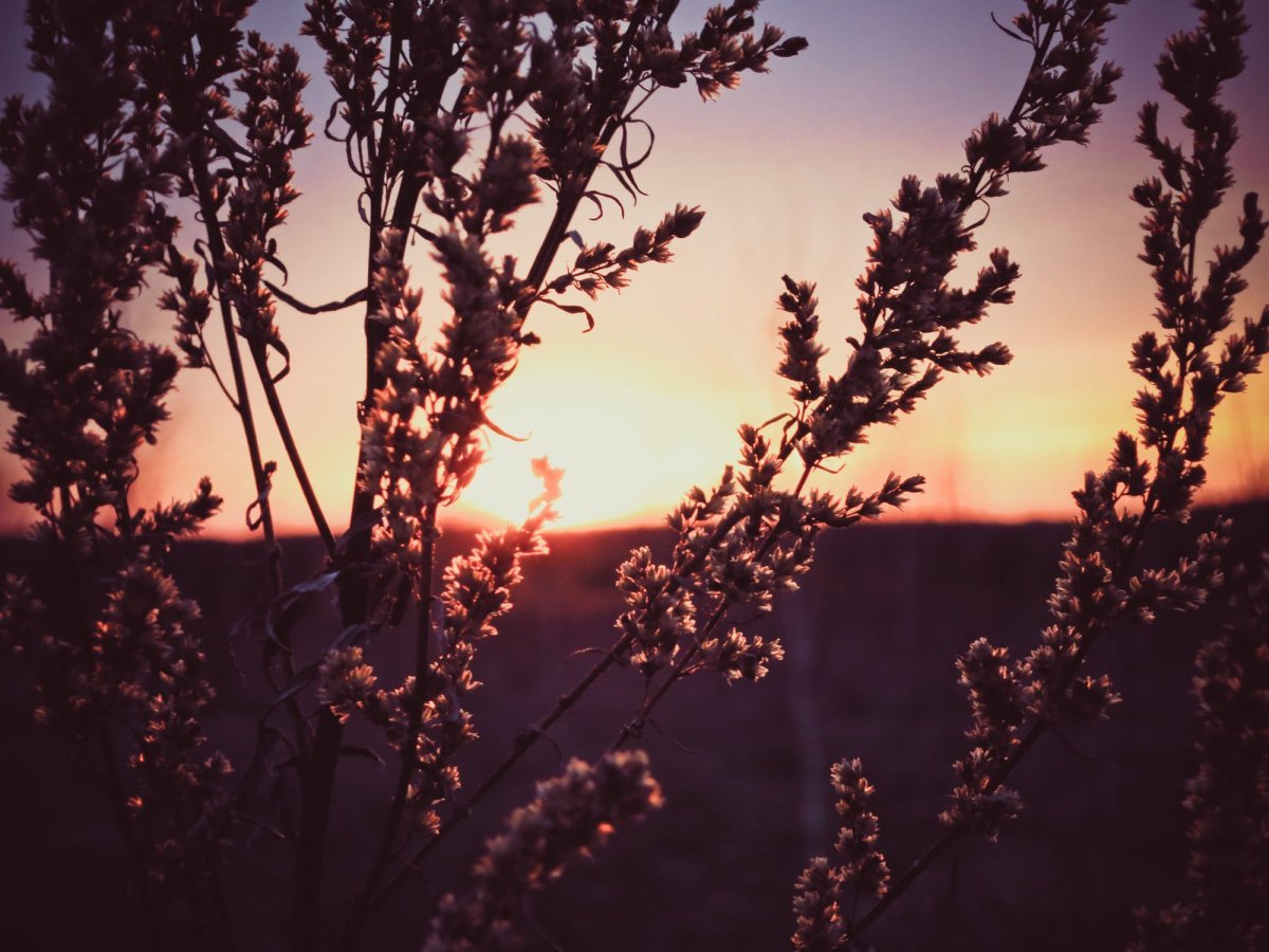 Кроули благие знамения коллаж