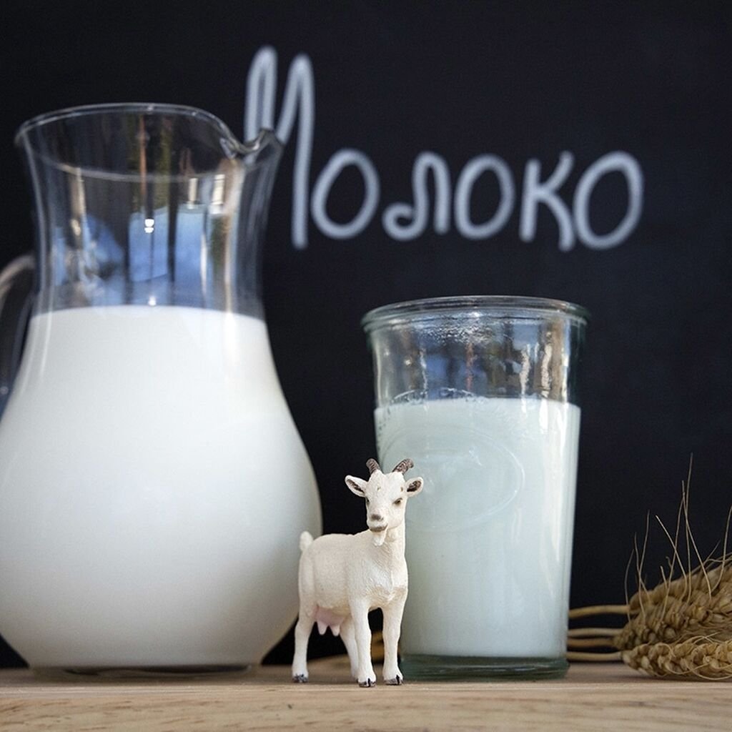 Коза молоко