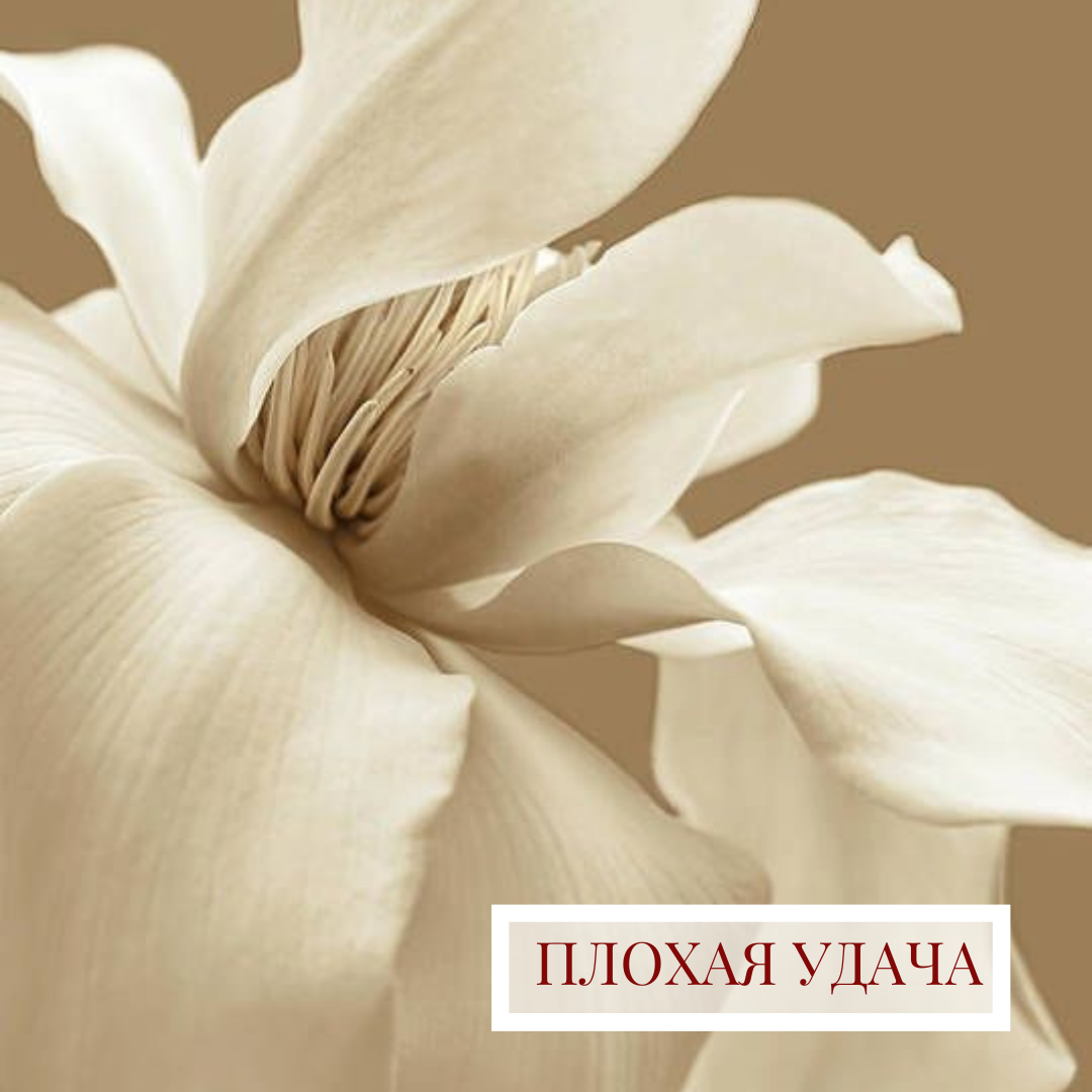 Цветы бежевого цвета