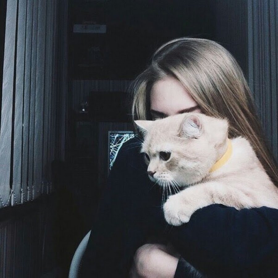 Девушка с котом