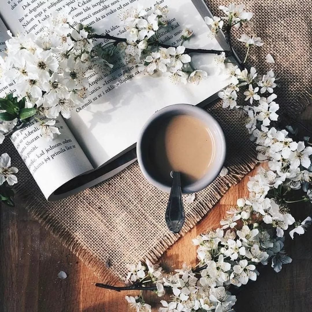 Эстетика книг и кофе