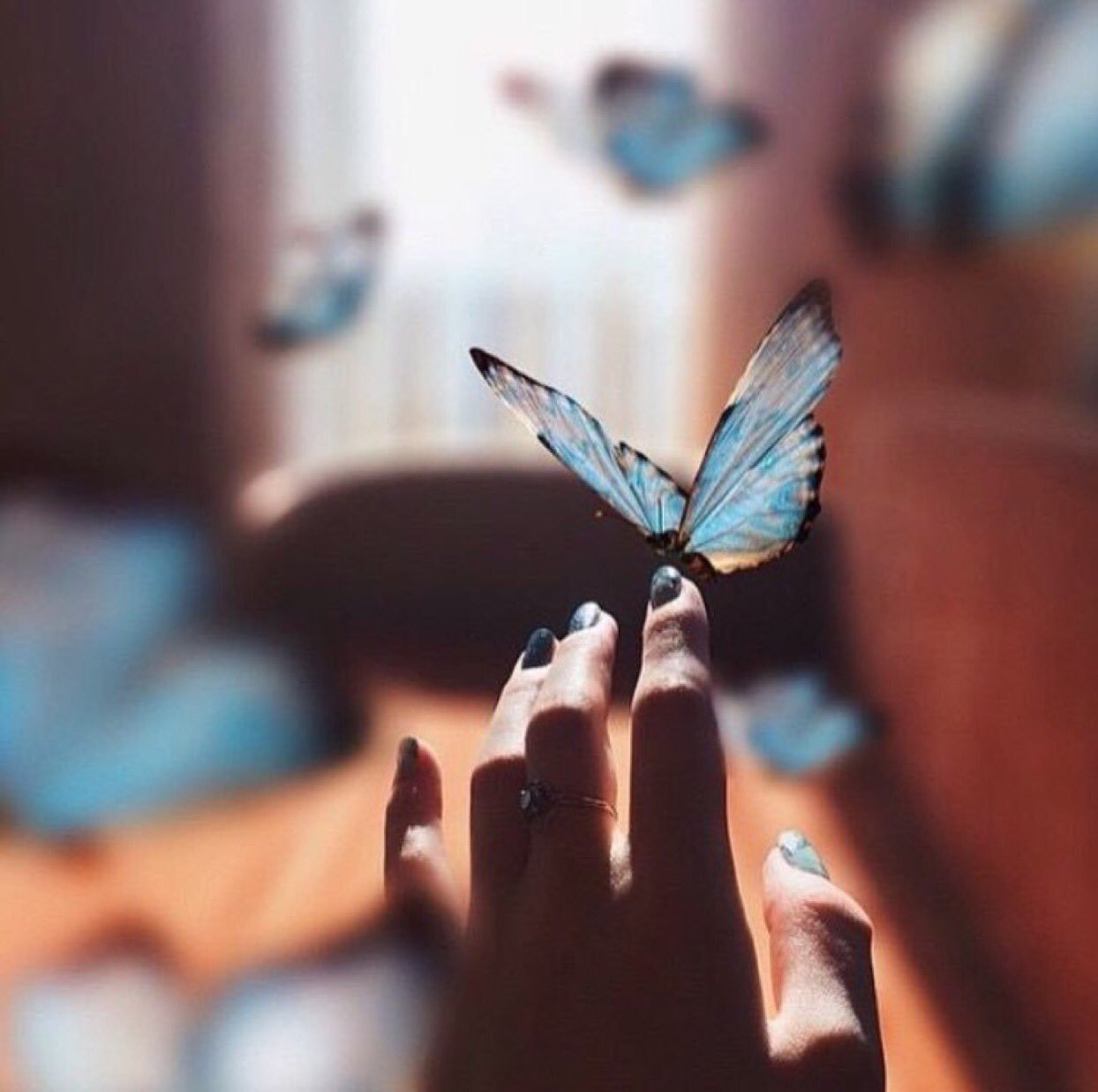 Цвет отпустить. На руку бабочка. Бабочка улетает с руки. Синяя бабочка на руке. Бабочки внутри.