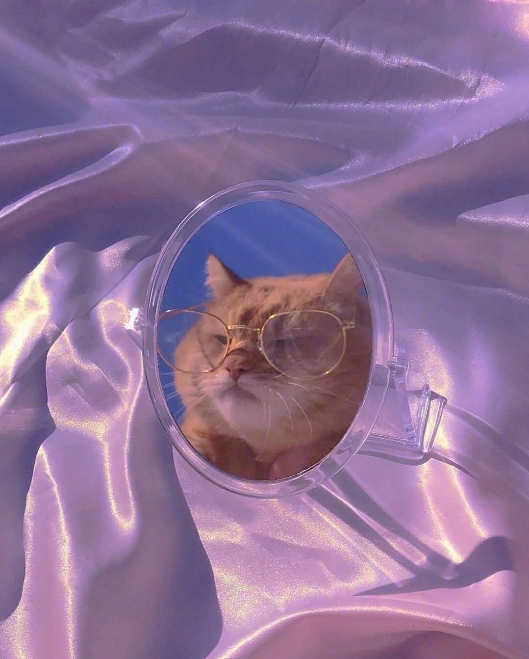 Котята Эстетика