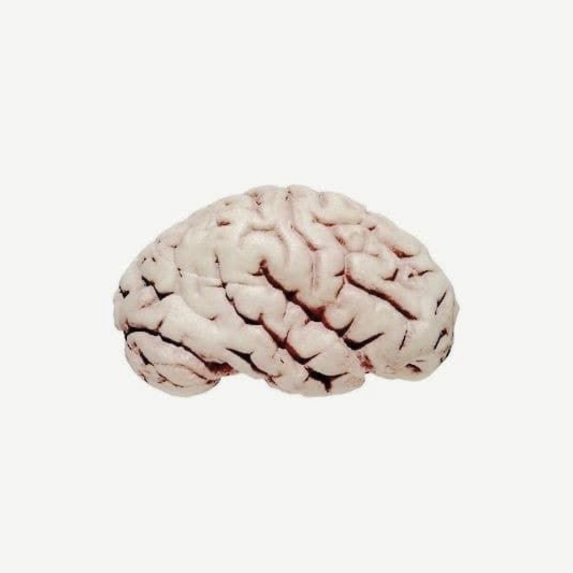 Изображения мозга Эстетика