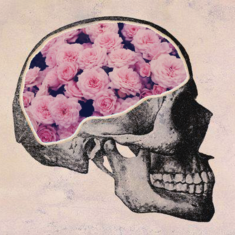 Мозг без головы крокус. Мозг в цветах. Мозг Эстетика. Череп в цветах. Цветы на голове.