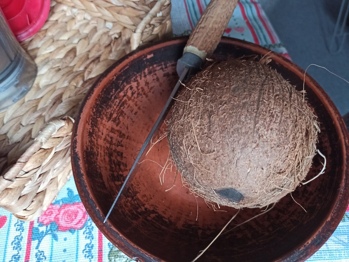 Вазочки из скорлупы кокоса